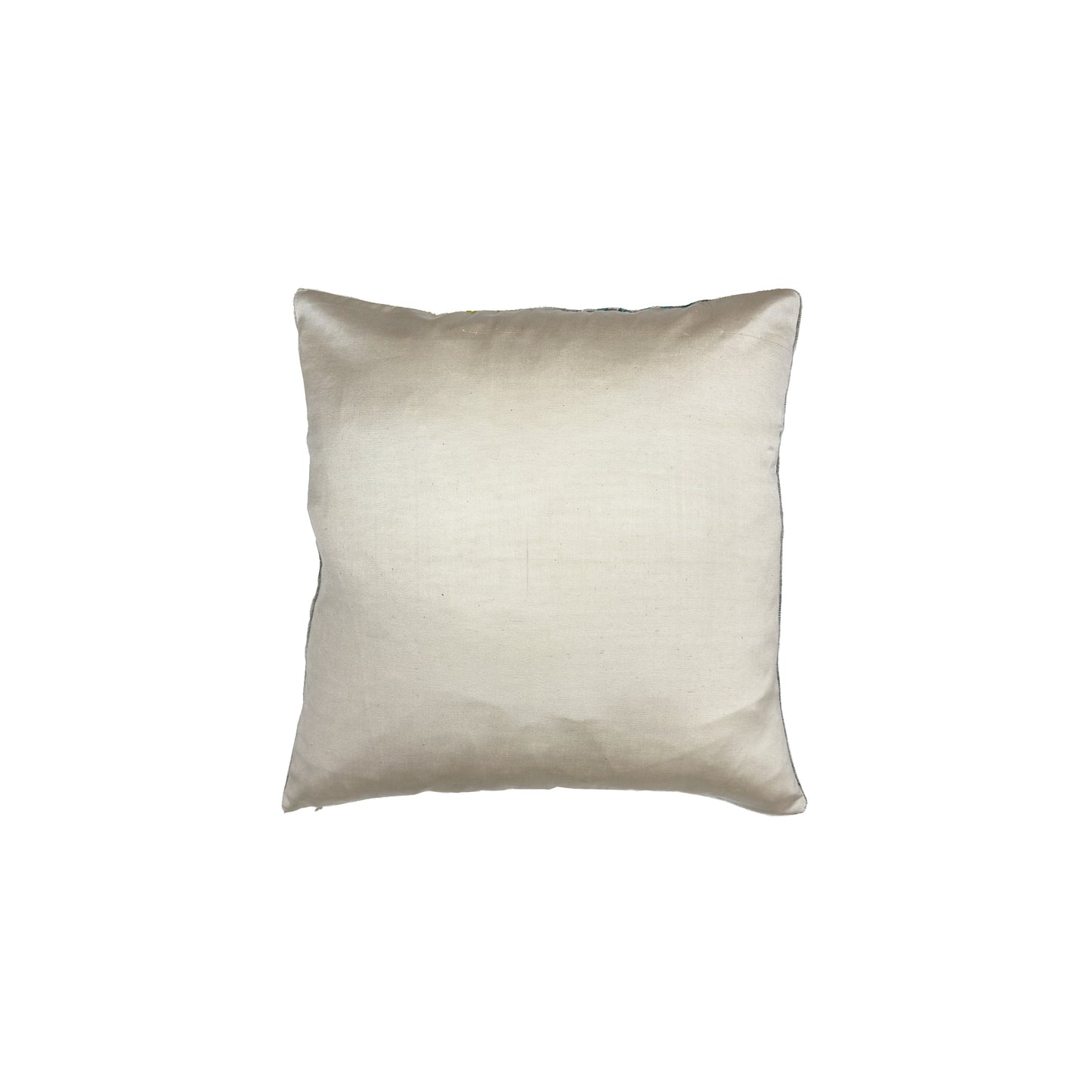 Velvet Pillow 20 x 20