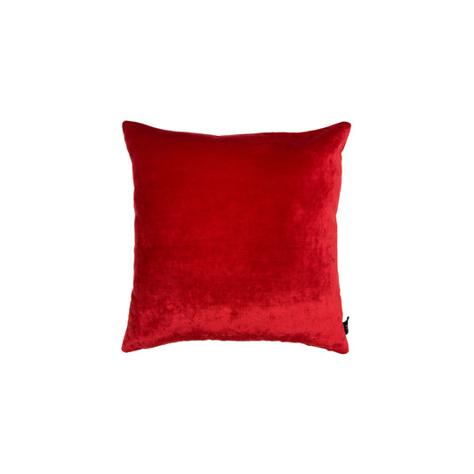 Velvet Pillow 20 x 20